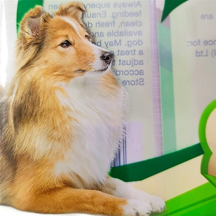 Back Seal Pouches For Pet Food suppliers
